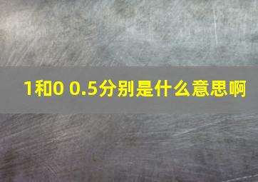 1和0 0.5分别是什么意思啊